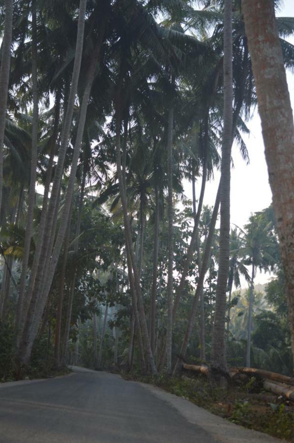 Nyuh Gading Bungalow Nusa Penida Sakti Exterior photo